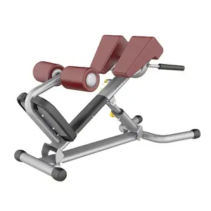 High Quality Fitness Bodybuilding Gym Bench Commercial Workout Equipment Adjustable Roman Chair For Club
