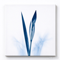 4 Pièces d'Art Mural sur Toile Transparente Bleue, Affiche Abstraite Moderne, Décoration Murale Nordique pour la Maison, Peinture avec Cadre en Bois