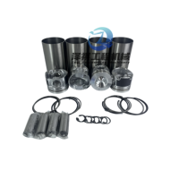 Penjualan laris Kit perbaikan mesin Diesel lengkap bagian mesin Piston silinder Kit pembangunan kembali lengkap