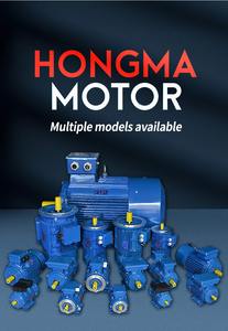 Motor Trifásico Asíncrono de Alta Calidad Estándar IEC, OEM Personalizado, Bajo Precio, Velocidad Constante 50/60hz - Product Image 4