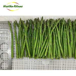 Verdure surgelate di asparagi freschi congelati IQF di alta qualità Per il commercio all'ingrosso 10kg Per cartone - Product Image 4