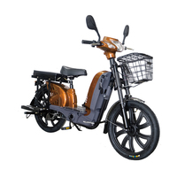 Milg CE Offre Spéciale de vélo électrique 800W grande roue VTT électrique 2-en-1 siège arrière avec deux sièges