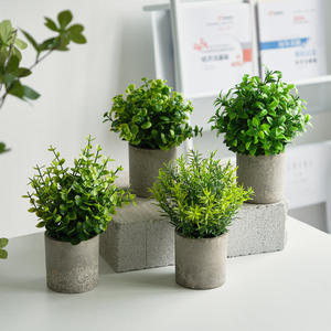 พุ่มไม้ยูคาลิปตัสโรสแมรี่กระถางทรงกระบอกเป็นมิตรกับสิ่งแวด<span class=keywords><strong>ล</strong></span>้อมในบ้านในร่มทนทาน - Product Image 3