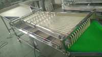 Professionele Mango Perzik Pruim Apple Fruit Sorteren Machine