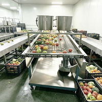 Industriële fruit- en groentewas- en blaaslijn, lucht droger voor blikjes, flessen, zakjes en verpakt voedsel