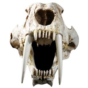 Cráneo de reptil de Tigre con dientes de sable SKE05, modelo de resina de alta precisión, adornos, especímenes de calavera DE LA Edad de Hielo - Product Image 3