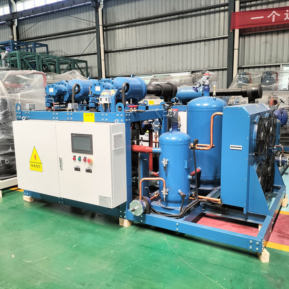 Duisburg Refrigerent Compressor Project Refrigerator Container Industrial Cold Room Project Screw Compressor ...