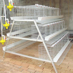Jaula para Gallinas Ponedoras Tipo A de 3 y 4 Niveles Galvanizada por Inmersión en Caliente con Sistema de Bebedero Automático para Equipo de Granja Avícola - Product Image 4