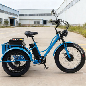 Ventes chaudes Tricycle électrique à 7 vitesses de 24 pouces Cadre en acier de haute qualité Moteur 750w 48v Vélo d'entraînement à <span class=keywords><strong>3</strong></span> <span class=keywords><strong>roues</strong></span> pour adultes - Product Image 2