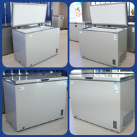 Congélateur Commercial pour Supermarché 300L 200 Litres Congélation Rapide Monotempérature Réfrigérateur à Porte Vitrée Contrôle Numérique