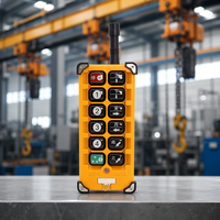 Système de télécommande sans fil industriel à double vitesse, étanche, 10 boutons, F23-A++, pour grue EOT