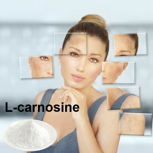 Capsule L-carnosina di alta qualità Private Label L-carnosina in polvere carnosina - Product Image 4