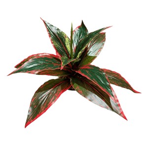Planta Artificial de Hojas Brasileñas Meng Jie de 30cm-100cm, Decoración de Interiores, Planta en Maceta - Product Image 5