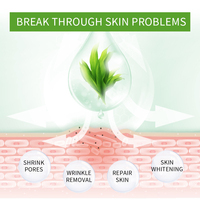 OEM ODM Lot de 4 masques en poudre de gelée d'algues, masque facial à l'argile aux herbes exfoliant, hydratant et nourrissant, format voyage