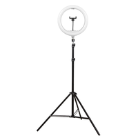 Prix d'usine – Anneau lumineux LED portable de 10 pouces, température de couleur 2800-6500K, pour éclairage d'appoint en studio photo, vidéo et selfie