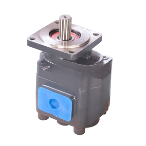 Hydraulic Gear <b>Pump</b> P3160 11C0007 OEM Spare Part for Wheel Loader Hydraulic System - Product Image 6