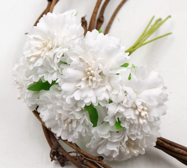 blanc7