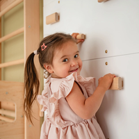 Structure d'escalade pour enfants avec 6 panneaux modulaires, mur d'escalade suédois réglable pour la maison, aire de jeux intérieure en bois massif