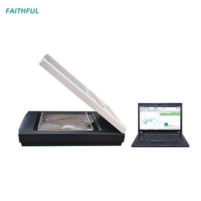 Plant Root Phenotype Analysis System With High Accuracy
