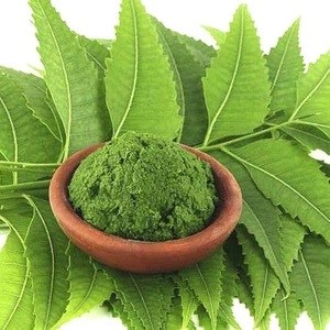 Poudre de feuilles de neem, complément alimentaire naturel à base de plantes, soutient l'immunité, détoxifie le corps, favorise une peau saine, améliore la digestion - Product Image 3