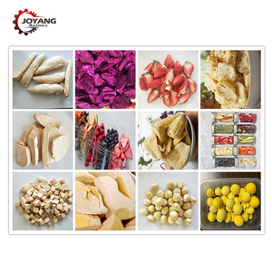 Сушильная машина для сублимационной сушки - Product Image 5