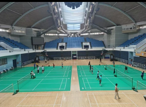 Suelo de abedul FIBA más vendido, <span class=keywords><strong>parquet</strong></span> deportivo fijo a prueba de humedad para canchas de voleibol, producto de césped <span class=keywords><strong>artificial</strong></span> de alta calidad - Product Image 3