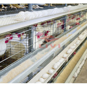 Suibian — <span class=keywords><strong>cage</strong></span> de volaille à raboteuse Semi-automatique, équipement pour élevage de volaille, vente de volaille, 5000 / 10000 - Product Image 2