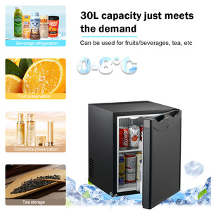 Mini Frigorifero per Auto e Casa in Acciaio Inox 30L, Frigo per Cosmetici e Bevande, Piccolo Refrigeratore - Product Image 5