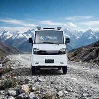 Mini camionnette électrique robuste, charge maximale 800 kg, capacité de montée 25°, moteur 200-250 kW, autonomie 101-200 km pour terrains accidentés