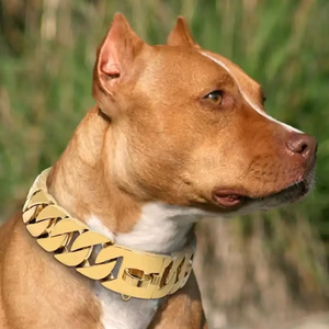 Collari di Lusso Dorati per Cani Grandi, Catene Hip Hop per Animali Domestici, Kit Guinzaglio, Accessori per Animali, Collare a Catena Cubana per Cani - Product Image 6