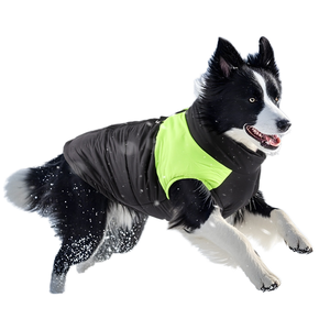 Sonbahar kış sıcak köpek giysileri <span class=keywords><strong>Amazon</strong></span> pamuk Pet ceket rüzgar geçirmez özelliği için kalınlaşmış katı desen klasik tarzı yeni - Product Image 5