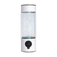 Hydrofairy Traitement de reflux de l'acide gastro-œsophagien Bouteille de génération d'eau riche en hydrogène portable 5000ppb