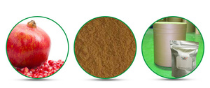 Extracto de <span class=keywords><strong>granada</strong></span> en polvo, 10:1, proveedor de fábrica - Product Image 5
