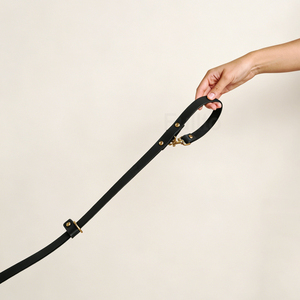 Deri eller serbest köpek tasma bel giyilebilir tasarım küçük orta büyük köpekler için uygun ayarlanabilir dayanıklı <span class=keywords><strong>Pet</strong></span> yürüyüş tasma - Product Image 4