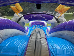 Castillo hinchable para saltar, Combo de Thunderbolt Dual Lane, púrpura - Product Image 4