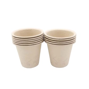 Vasos de Café Biodegradables Desechables de Fibra de Bambú para el Hogar - Product Image 1