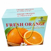 Boîte cadeau personnalisée avec logo, imperméable, pour fruits et légumes, emballage en carton ondulé avec poignée, écologique, recyclable, OEM, vente en gros