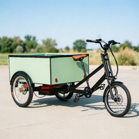 Vélo cargo à 3 roues avec boîte arrière, cadre de trike électrique, Bakfiets avec boîte arrière, Velomobile