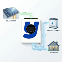 Convertisseur solaire hybride 10-15 kW, convertisseur DC-AC basse fréquence 24V 48V 110V 220V, onde sinusoïdale pure, MPPT, WiFi, pour la maison