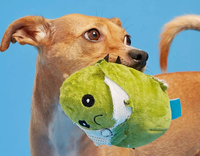 Jouet en peluche cactus réaliste interactif à double couche avec sifflet, 10 cm, pour chiens, design d'usine 2025