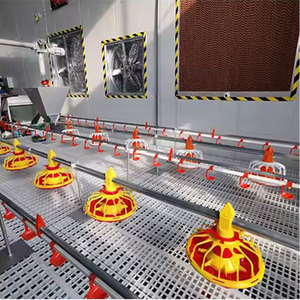 <span class=keywords><strong>Precio</strong></span> <span class=keywords><strong>de</strong></span> fábrica <span class=keywords><strong>Pollos</strong></span> modernos Granja <span class=keywords><strong>de</strong></span> <span class=keywords><strong>pollos</strong></span> <span class=keywords><strong>de</strong></span> <span class=keywords><strong>engorde</strong></span> Equipo <span class=keywords><strong>de</strong></span> cría <span class=keywords><strong>de</strong></span> aves Bebederos y <span class=keywords><strong>comederos</strong></span> colgantes automáticos <span class=keywords><strong>para</strong></span> <span class=keywords><strong>pollos</strong></span> - Product Image 4