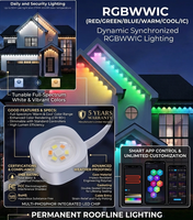 Guirlandes lumineuses à pixels RGBWWIC Pro 100FT en plastique pour avant-toit, DC36V, IP67, étanches, synchronisation musicale intelligente via application, gradation, éclairage de Noël extérieur