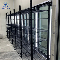 Vitrine Réfrigérée Personnalisée avec Panneaux de 150 mm pour Viande, Porte Vitrée, Chambre Froide