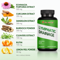 Tonique Herbal Tout-en-Un avec Échinacée et Curcuma, Complément Quotidien pour le Bien-être, Soutien Immunitaire et Articulaire