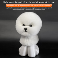Modelo de cabeza de Bichón con pelaje realista extraíble, para entrenamiento con tijeras, modelo de enseñanza escolar simple y seguro, esqueleto de poliéster para corte de mascotas