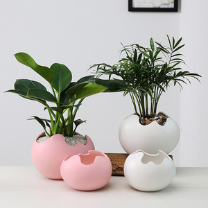 Maceta de cerámica hidropónica moderna y sencilla para jardín, macetas de flores <span class=keywords><strong>suculentas</strong></span> con forma de concha de huevo para <span class=keywords><strong>familia</strong></span> creativa, venta al por mayor - Product Image 3