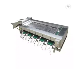 Máquina Clasificadora de Vegetales Personalizada/Máquina Clasificadora de Granadas <span class=keywords><strong>Soter</strong></span> para Manzanas - Product Image 6