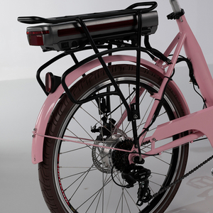 <span class=keywords><strong>Tricycle</strong></span> pour <span class=keywords><strong>adultes</strong></span> en promotion, directement de l'usine, <span class=keywords><strong>tricycle</strong></span> cargo familial avec ceintures de sécurité pour enfants - Product Image 4