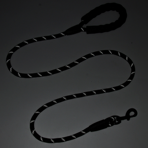Neues Modell Personalisierte Modische Einfache Reflektierende Nylon-Hundeleine – Robust, Reißfest und Hochintensiv – Großhandel Verfügbar - Product Image 2