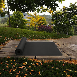 Tapis de yoga TPE antidérapant de haute qualité OEM pour les séances d'entraînement à domicile, tapis de sieste confortable - Product Image 2